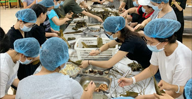 “粽香满校园，温情迎端午”——我校食堂凝聚师生包粽子体验活动